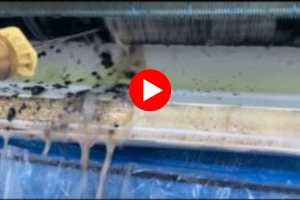 Seals Heat Pump Cleaning