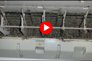 Seals Heat Pump Cleaning